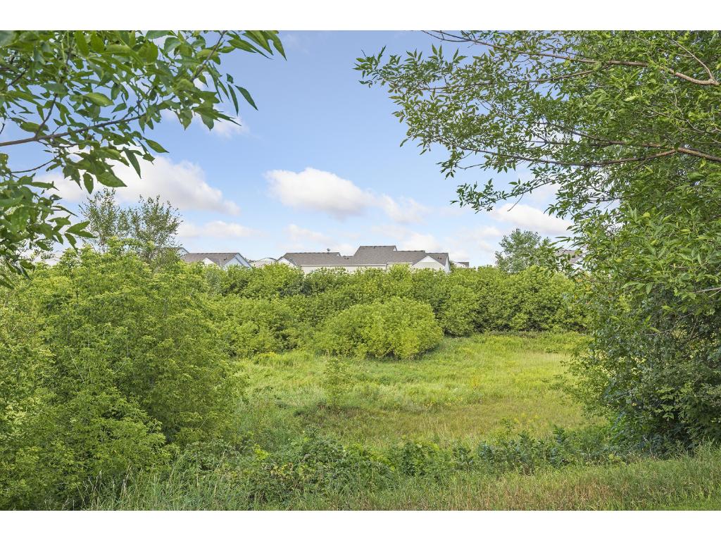14235 Avalon Path, Rosemount, MN 55068 photo 22