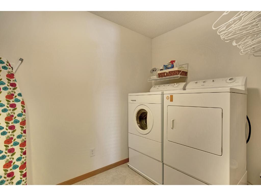 14235 Avalon Path, Rosemount, MN 55068 photo 21