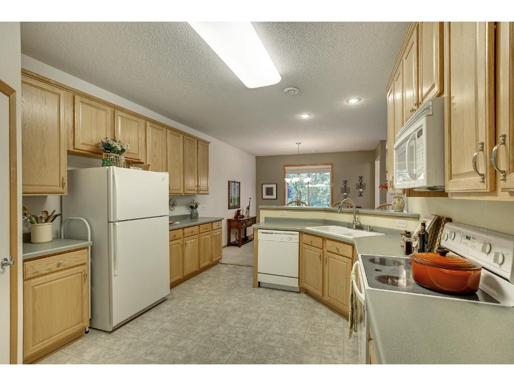 14235 Avalon Path, Rosemount, MN 55068 photo 12