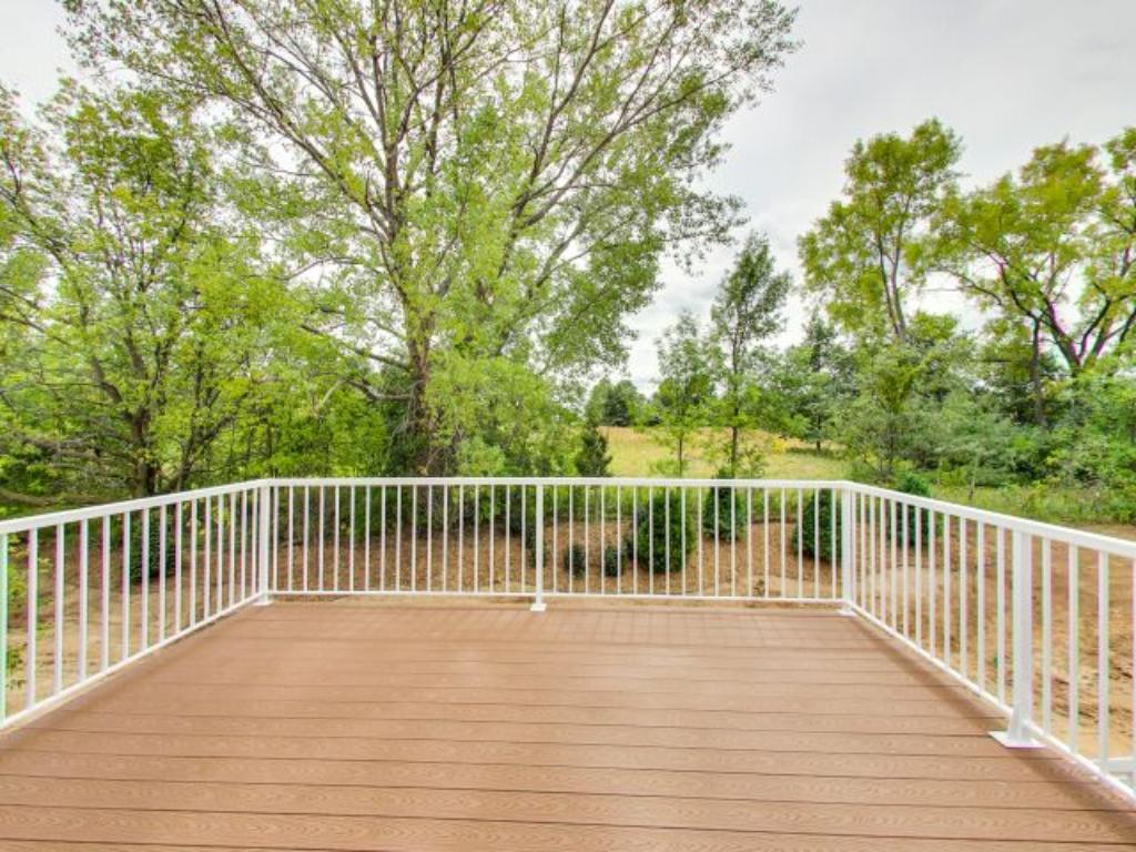 1320 Interlachen Dr, Eagan, MN 55123 photo 20