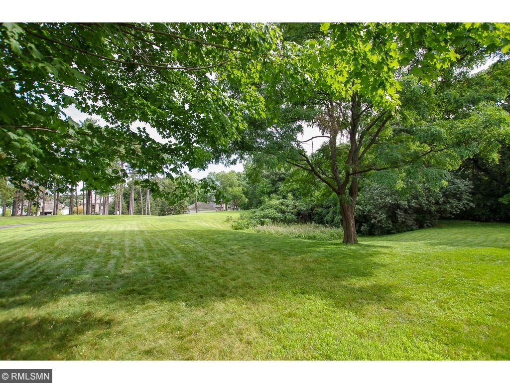12136 Kentucky Cir, Champlin, MN 55316 photo 19