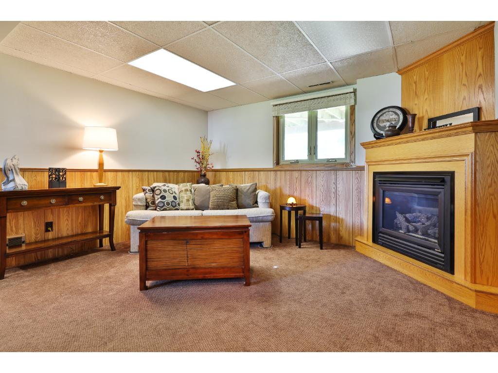8917 Oakview Ln N, Maple Grove, MN 55369 photo 12