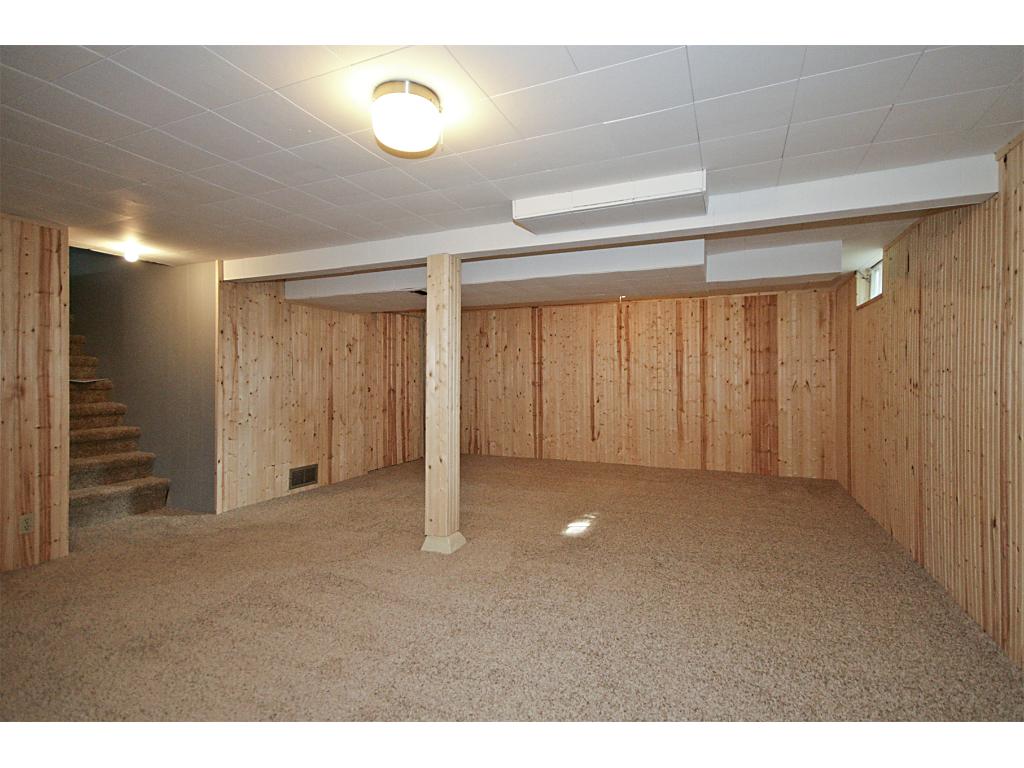 623 E 3rd St, Litchfield, MN 55355 photo 15
