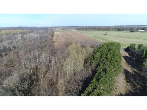 18328 State 287, Grey Eagle, MN 56336 photo 17