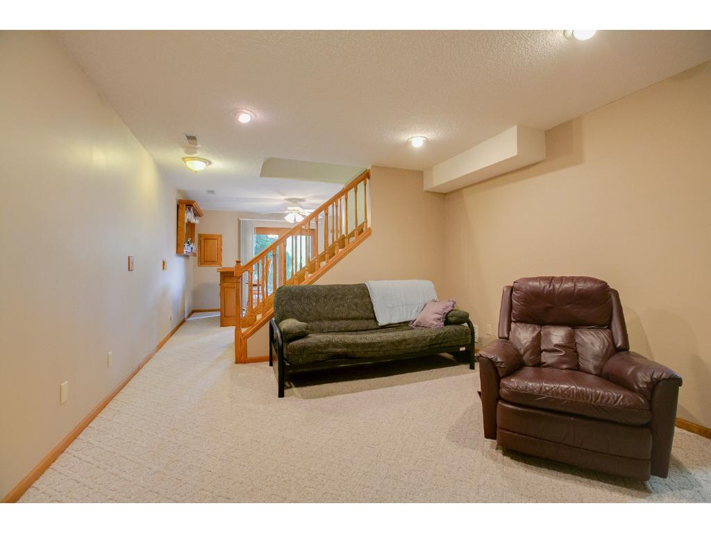 1389 Camelback Dr, Eagan, MN 55123 photo 15