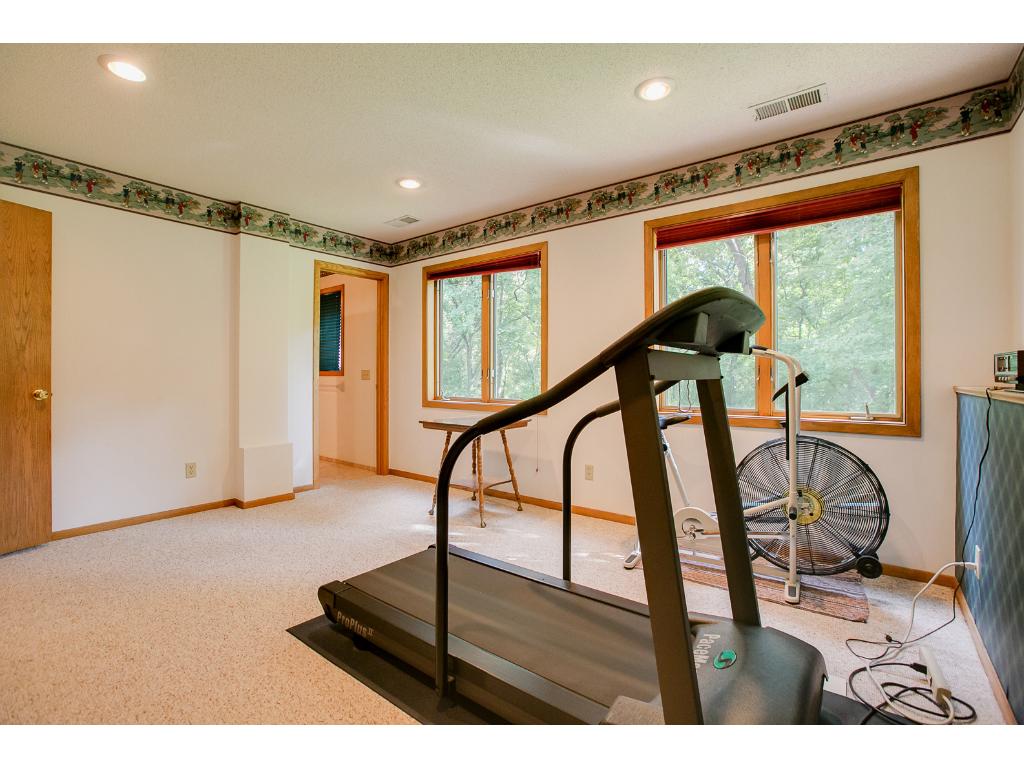 1724 Deerwood Dr, Eagan, MN 55122 photo 16
