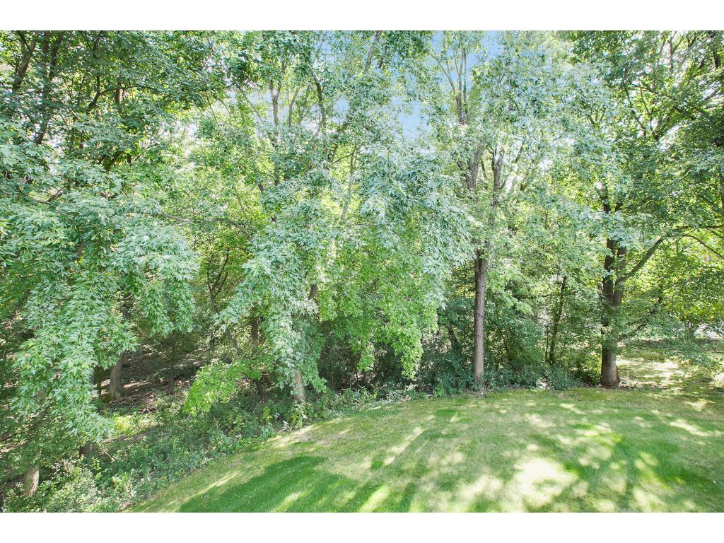 1724 Deerwood Dr, Eagan, MN 55122 photo 10