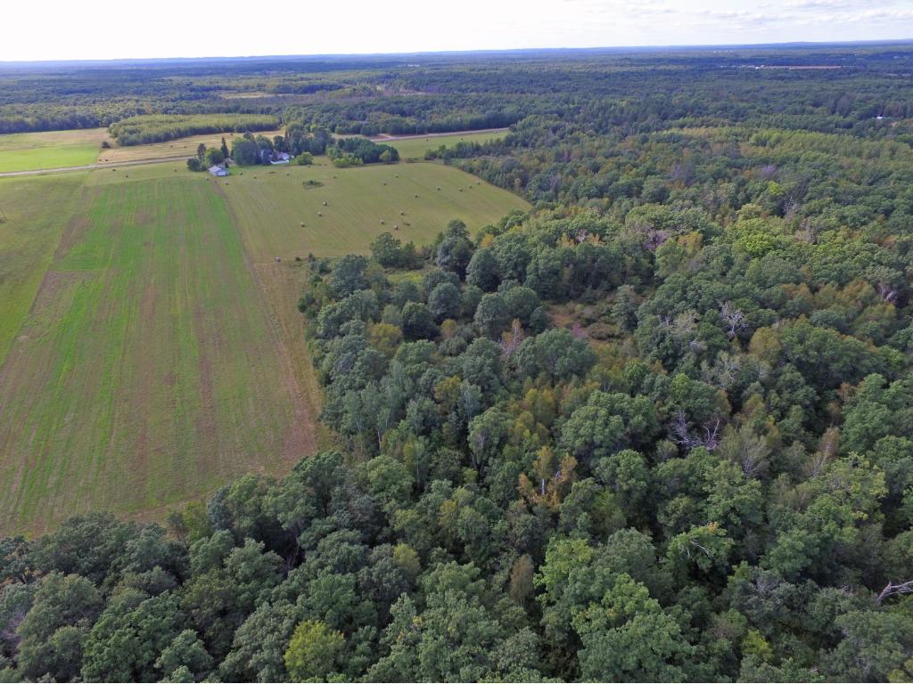 8558 Saint Mathias Rd, Brainerd, MN 56401 photo 9