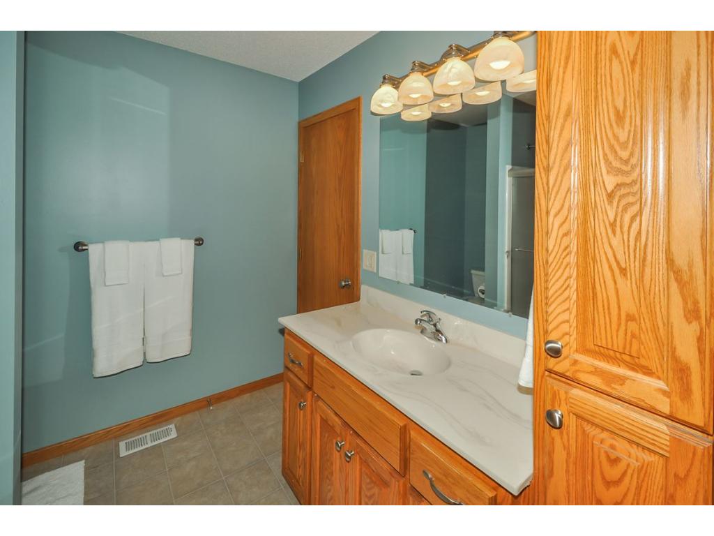 1645 Forest Glen Cir, Saint Augusta, MN 56301 photo 13