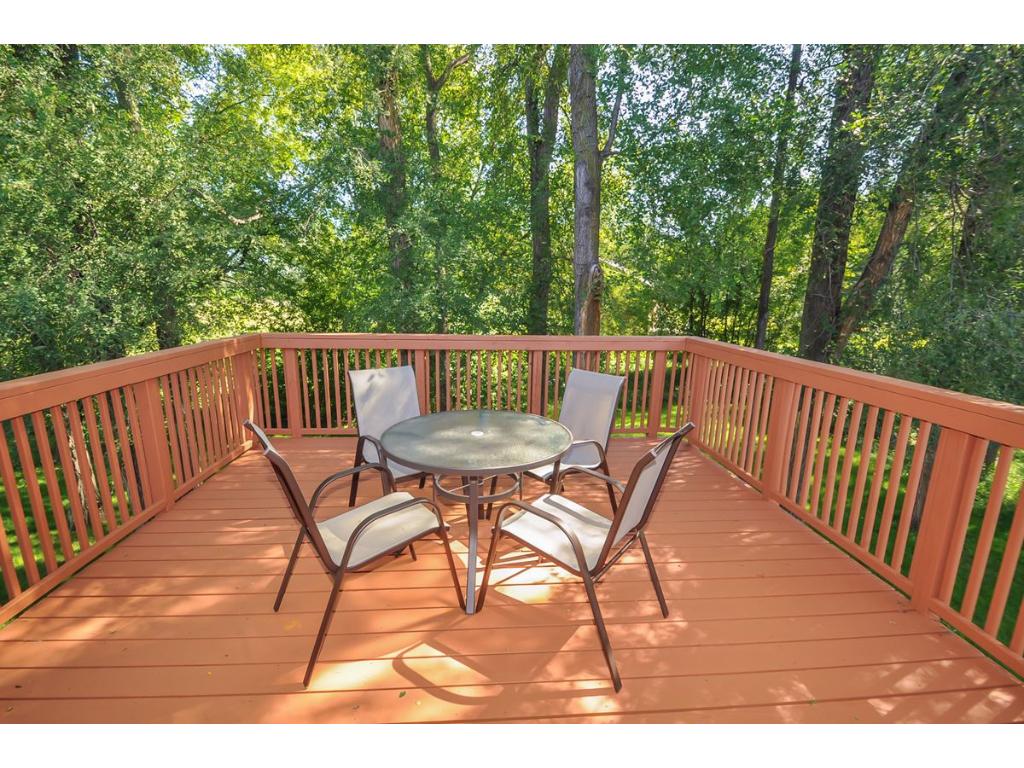 1645 Forest Glen Cir, Saint Augusta, MN 56301 photo 18