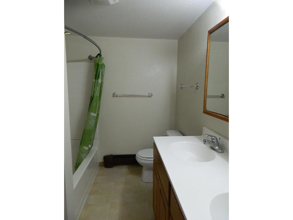 1213 9th Ave, Littlefork, MN 56653 photo 12