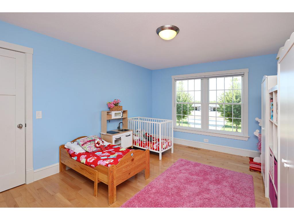 44099 Willow Rd, Saint Peter, MN 56082 photo 13