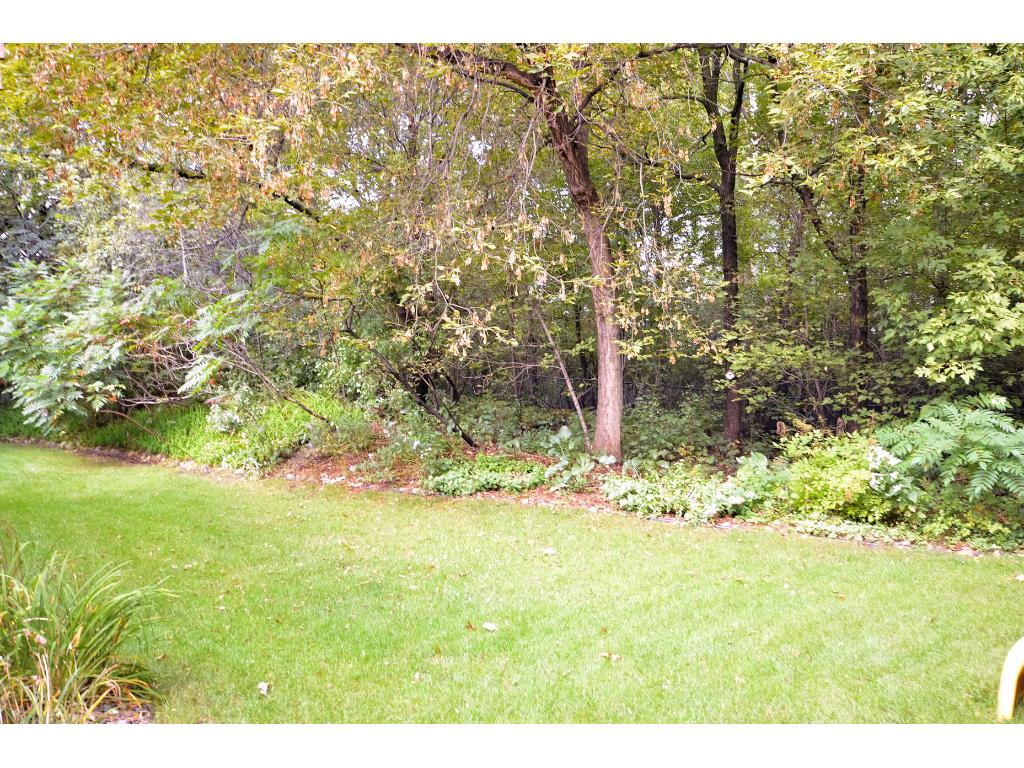4468 N Mallard Trl, Eagan, MN 55122 photo 23