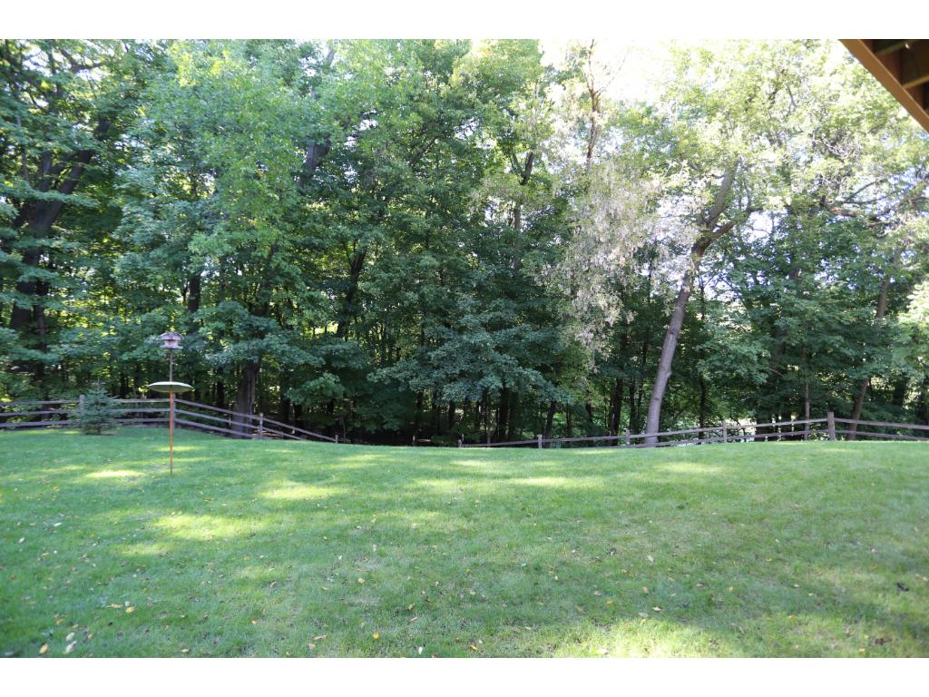 6200 Murray Hill Rd, Excelsior, MN 55331 photo 17