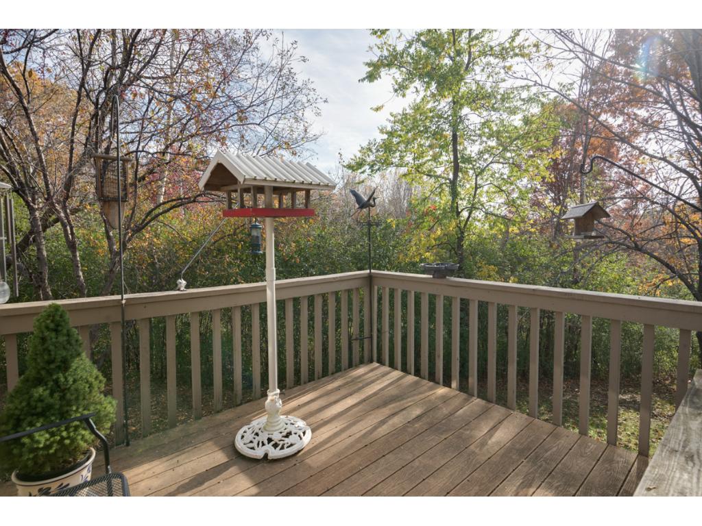 4304 Clemson Cir #B, Eagan, MN 55122 photo 12