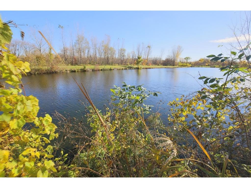 1002 Heldt St, Chaska, MN 55318 photo 16