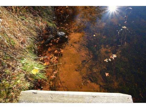 7689 Glendenning Rd, Danbury, WI 54830 photo 17