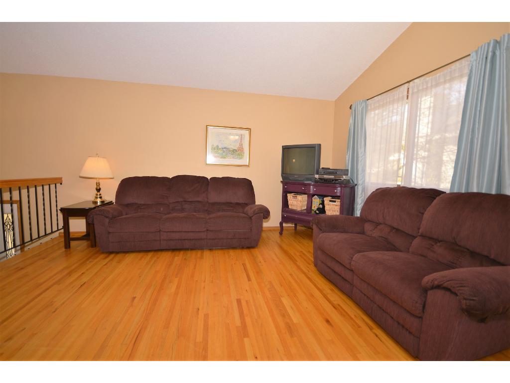 1569 Clemson Dr #B, Eagan, MN 55122 photo 4