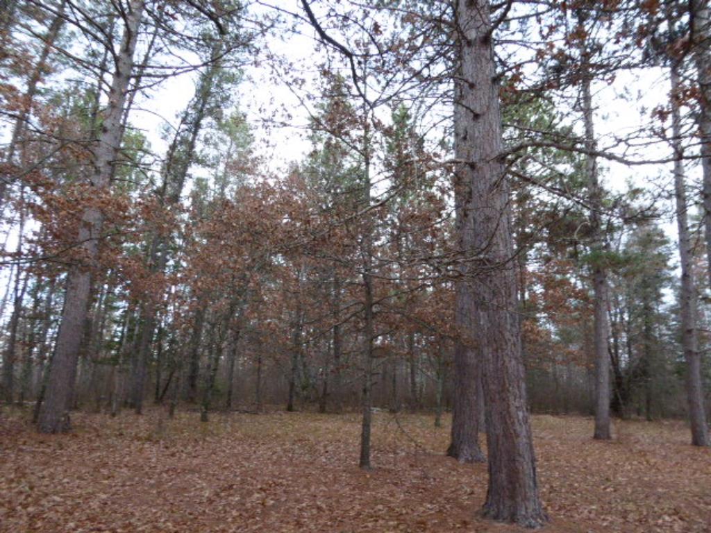 3294 23rd SW, Pine River, MN 56474 photo 4