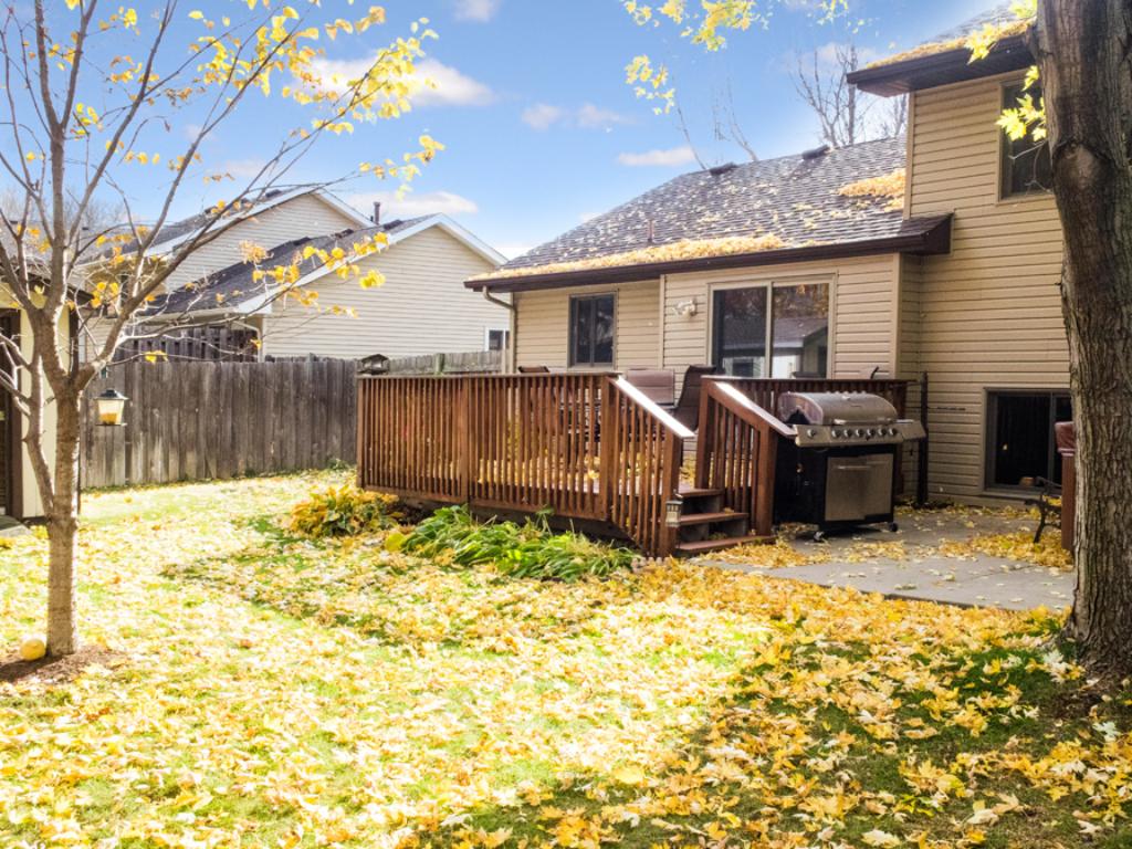 6458 109th Pl N, Champlin, MN 55316 photo 13