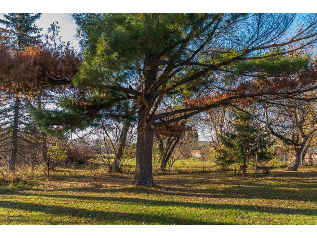 470 Snell Ave, Pine River, MN 56474 photo 16