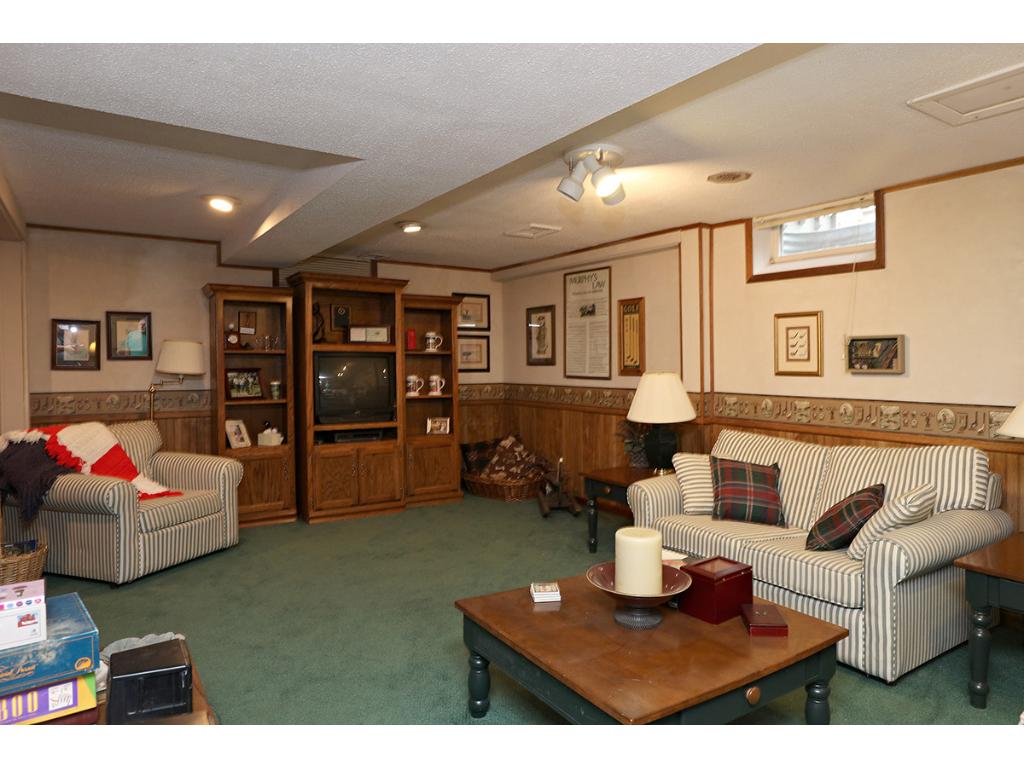 1309 Wilderness Run Dr, Eagan, MN 55123 photo 18