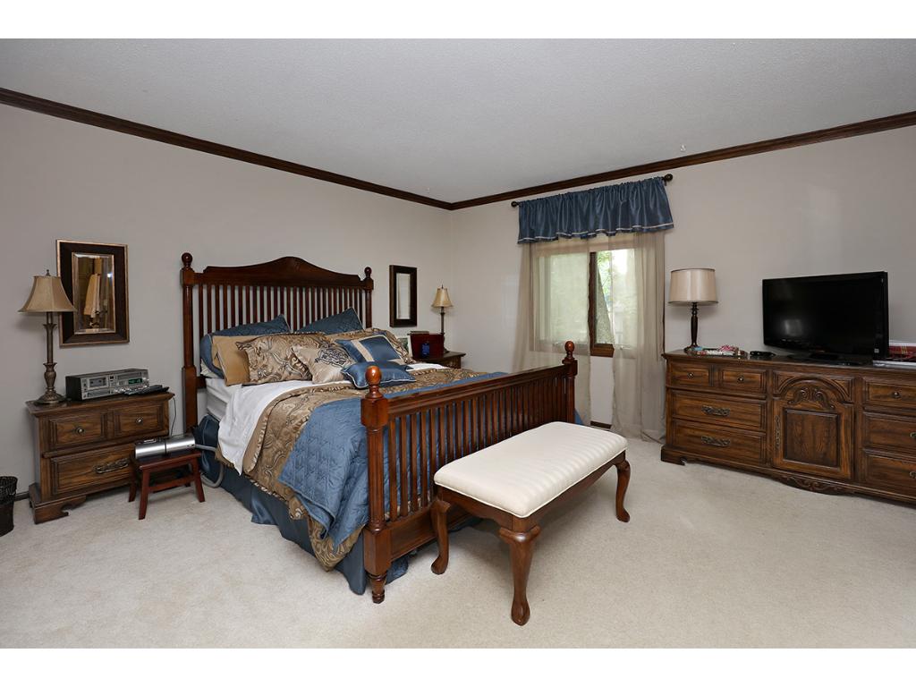 1309 Wilderness Run Dr, Eagan, MN 55123 photo 15