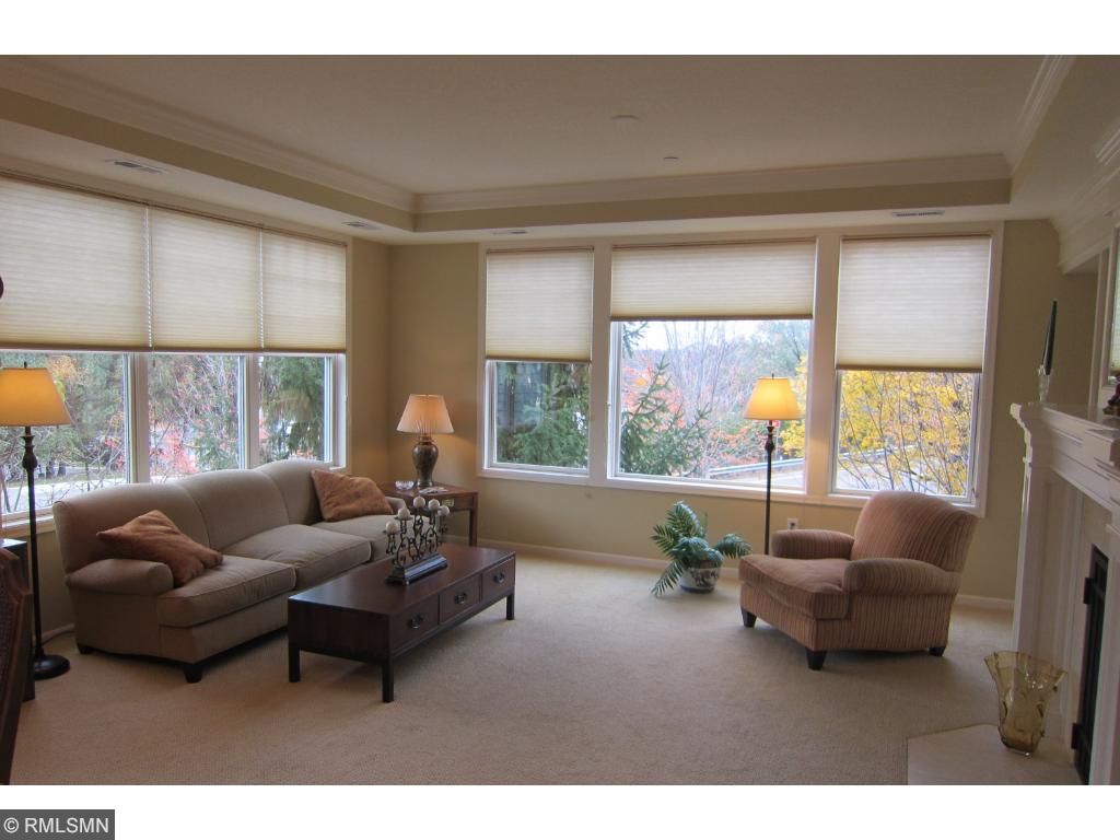 203 Mill St #N103, Excelsior, MN 55331 photo 4