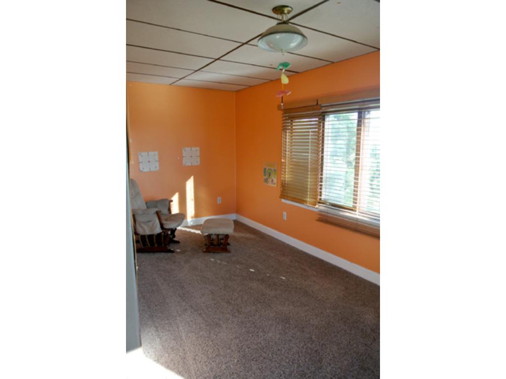 57098 310th St, Winthrop, MN 55396 photo 7