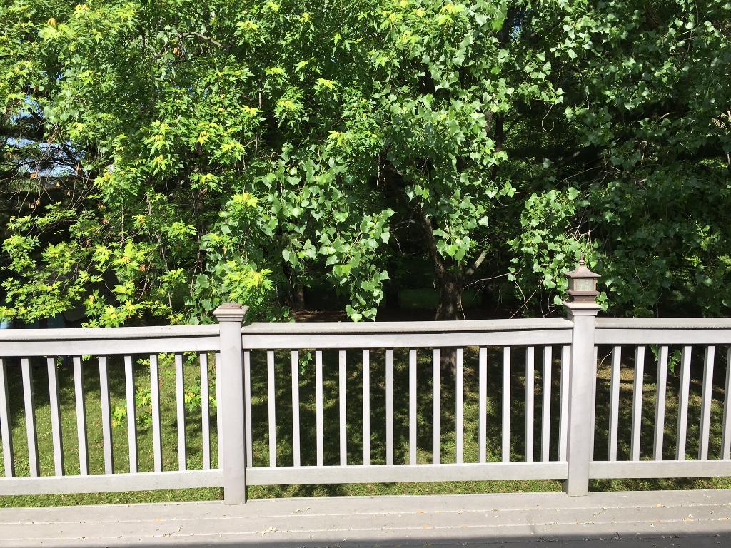3371 Donald Ave, Eagan, MN 55121 photo 4
