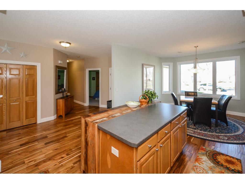 15831 Cicerone Path, Rosemount, MN 55068 photo 9