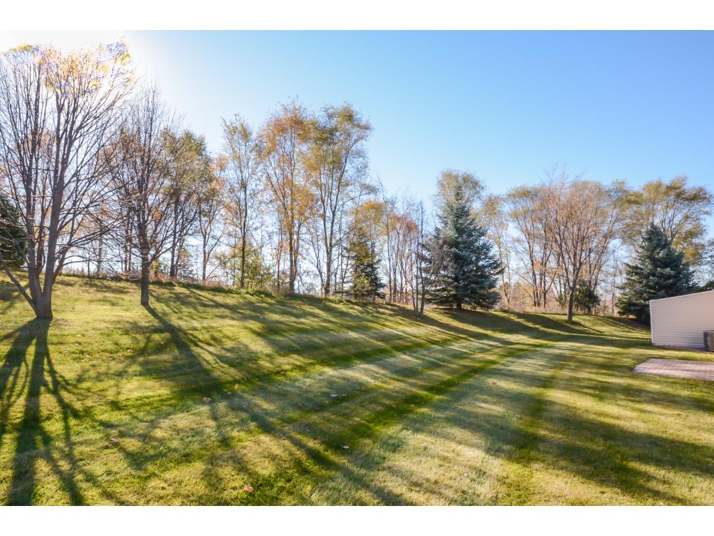 15831 Cicerone Path, Rosemount, MN 55068 photo 17