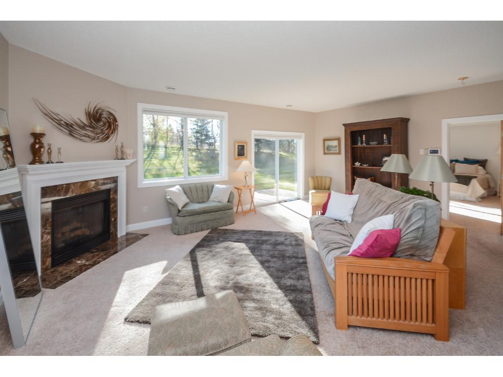 15831 Cicerone Path, Rosemount, MN 55068 photo 11