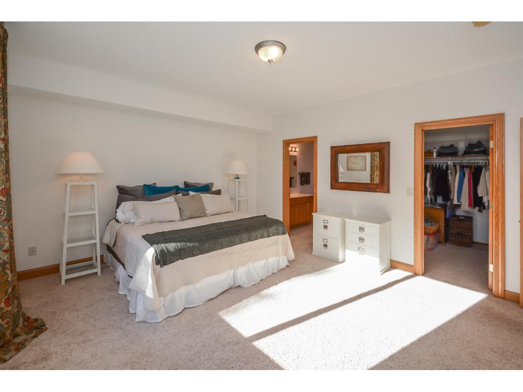 15831 Cicerone Path, Rosemount, MN 55068 photo 14