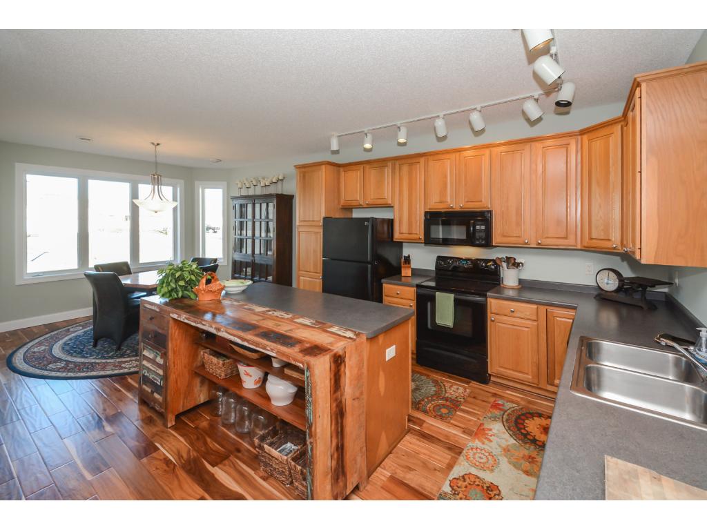 15831 Cicerone Path, Rosemount, MN 55068 photo 8