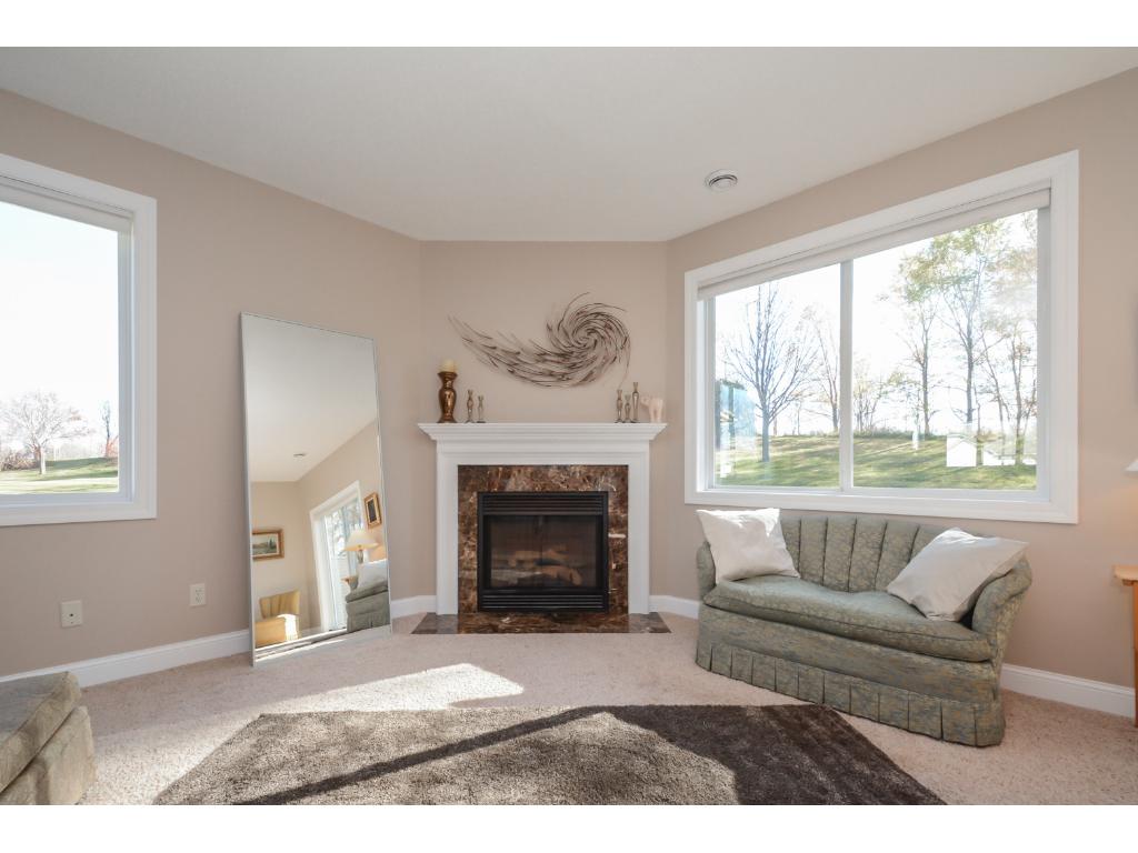 15831 Cicerone Path, Rosemount, MN 55068 photo 12
