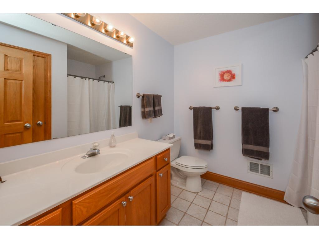 15831 Cicerone Path, Rosemount, MN 55068 photo 13