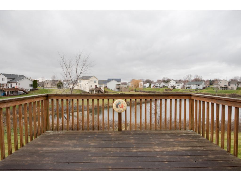 15844 Cicerone Path, Rosemount, MN 55068 photo 22