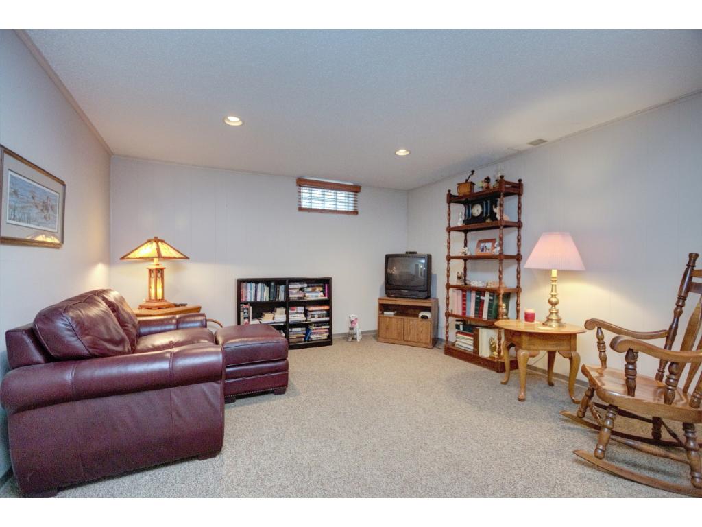1779 Carnelian Ln, Eagan, MN 55122 photo 16