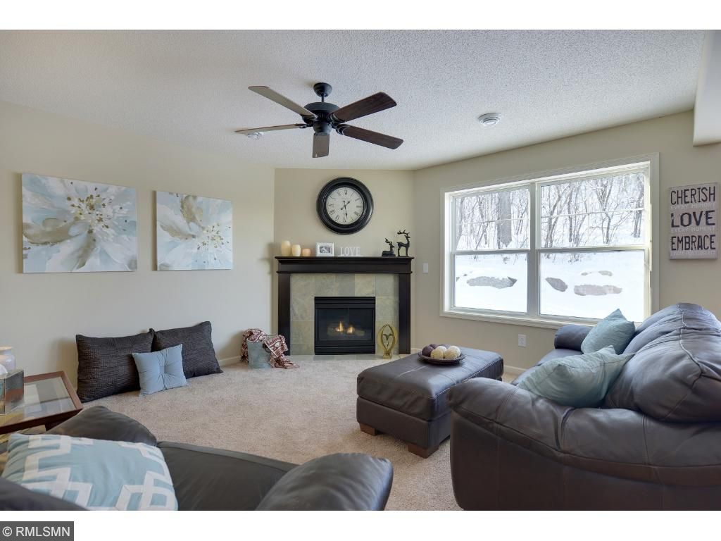 3989 Cedar Grove Ln, Eagan, MN 55122 photo 5