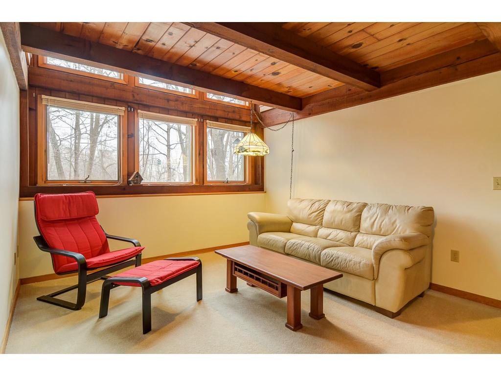55 Birch Bluff Rd, Excelsior, MN 55331 photo 14