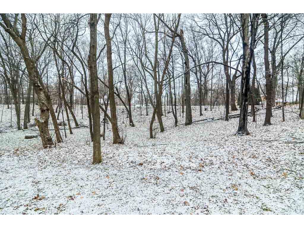 55 Birch Bluff Rd, Excelsior, MN 55331 photo 4