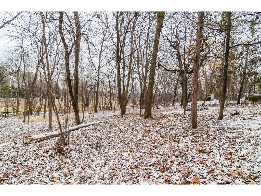 55 Birch Bluff Rd, Excelsior, MN 55331 photo 3