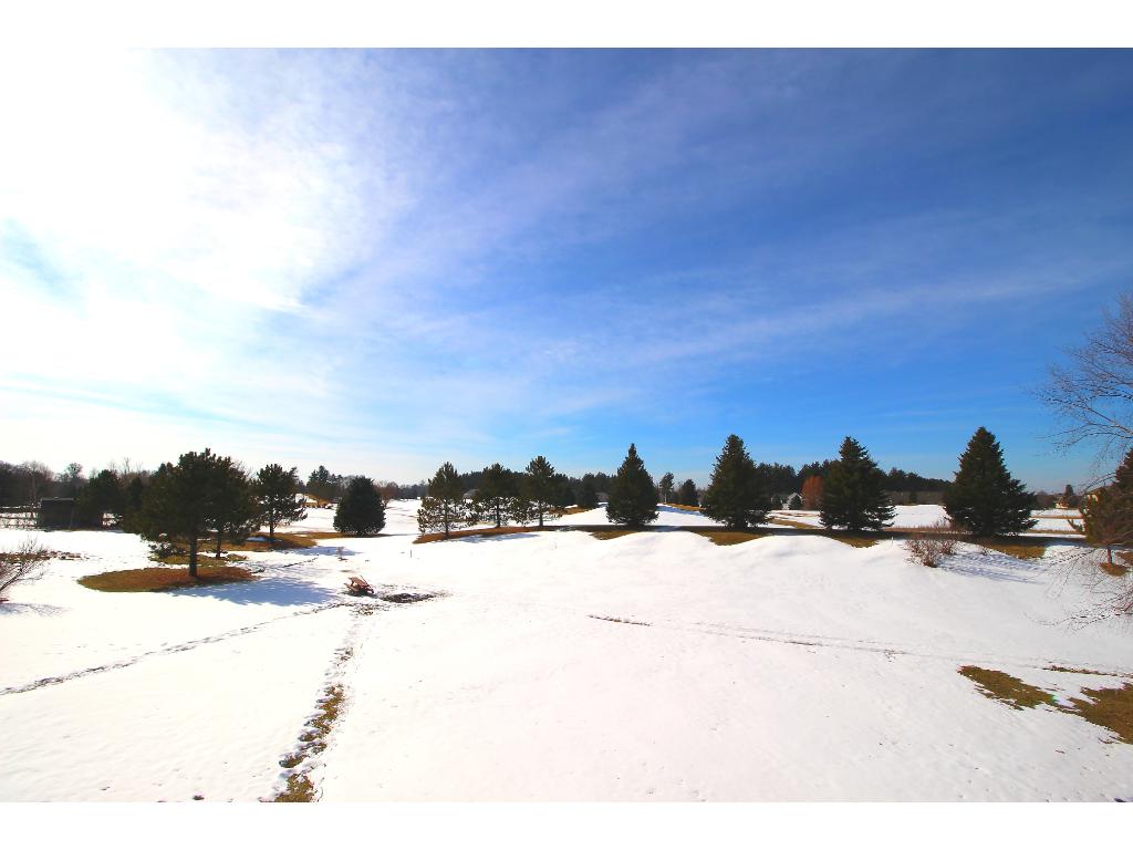 21098 Buchanan St NE, Cedar, MN 55011 photo 3