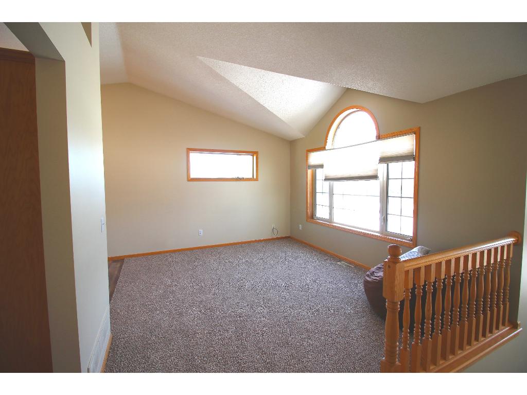 21098 Buchanan St NE, Cedar, MN 55011 photo 11