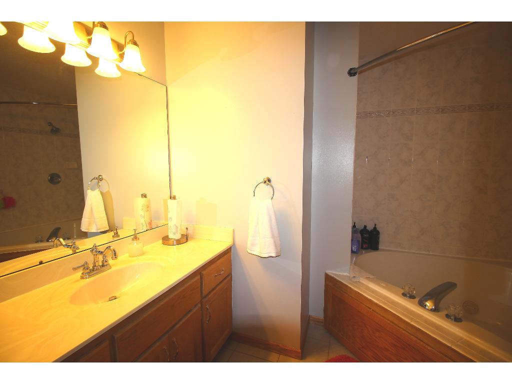 21098 Buchanan St NE, Cedar, MN 55011 photo 17