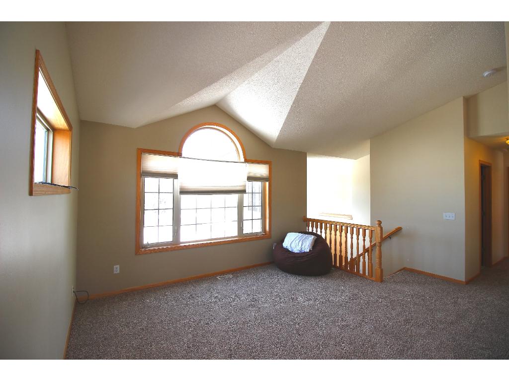 21098 Buchanan St NE, Cedar, MN 55011 photo 10