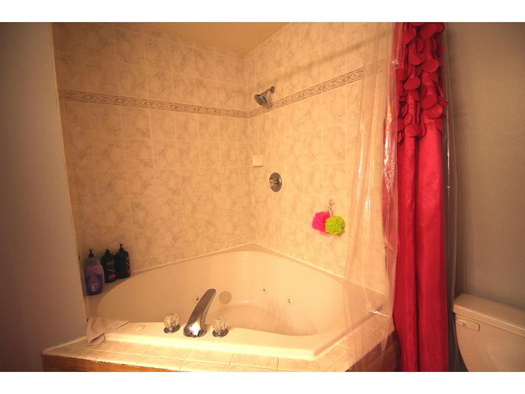 21098 Buchanan St NE, Cedar, MN 55011 photo 16