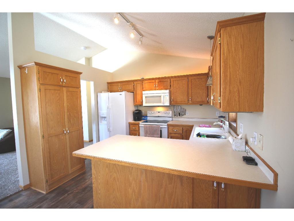 21098 Buchanan St NE, Cedar, MN 55011 photo 8