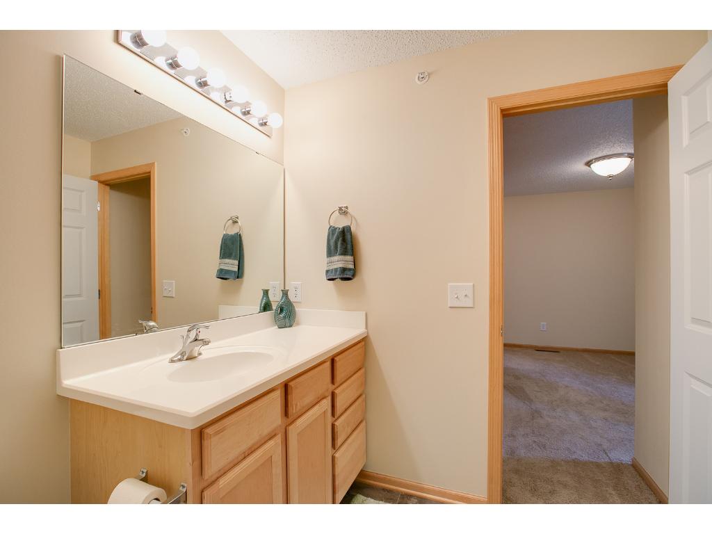 13629 Brick Path, Rosemount, MN 55068 photo 14